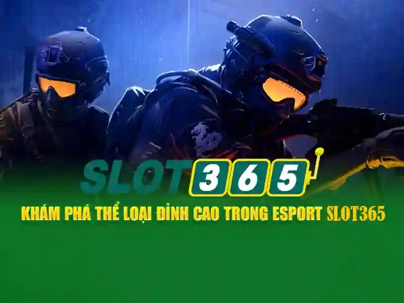 mô tả bằng tiếng Việt