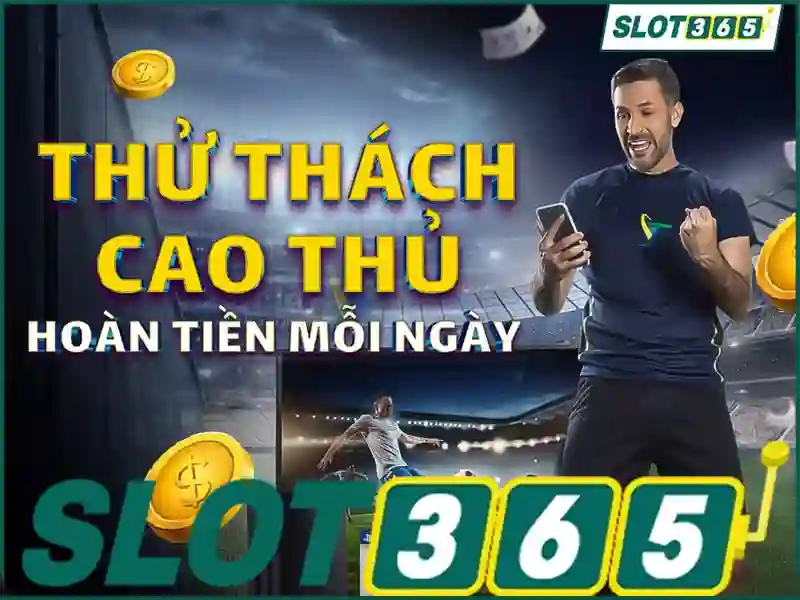 mô tả bằng tiếng Việt