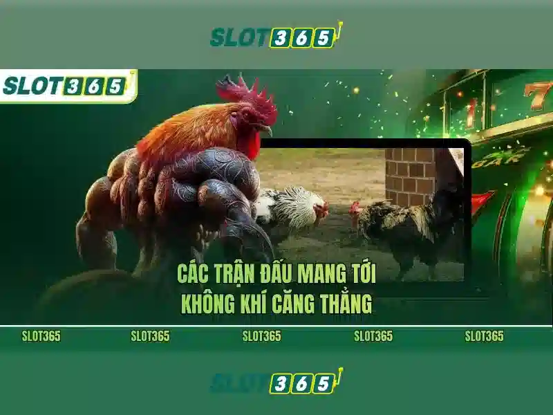 Giao diện nhà cái hoàn hảo