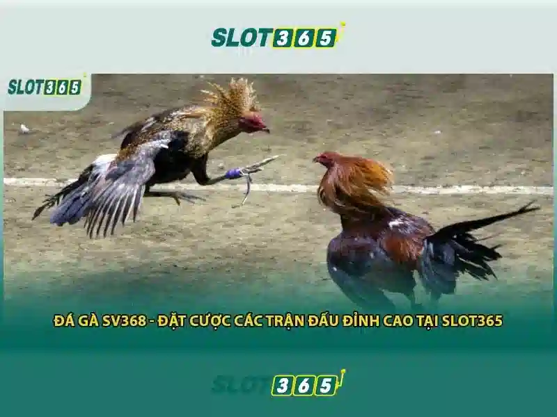 Cách hoạt động và an toàn