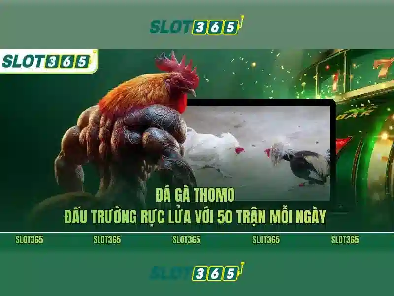 Trò chơi đa dạng và chất lượng