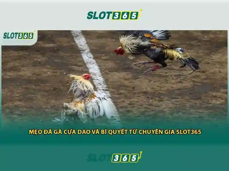 Giao diện nhà cái hoàn hảo