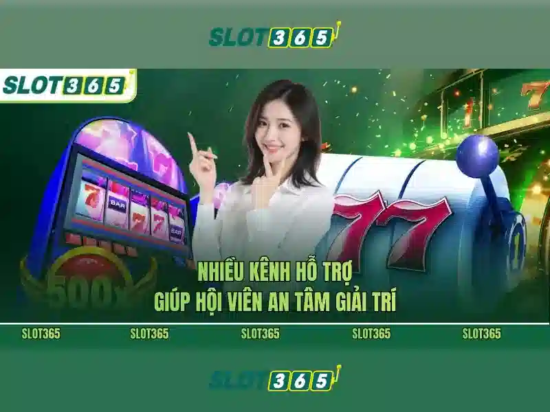 Hỗ trợ khách hàng tận tâm 24/7