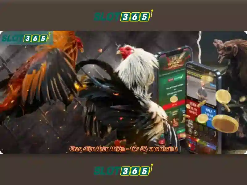 Slot365 và thế giới casino trực tuyến
