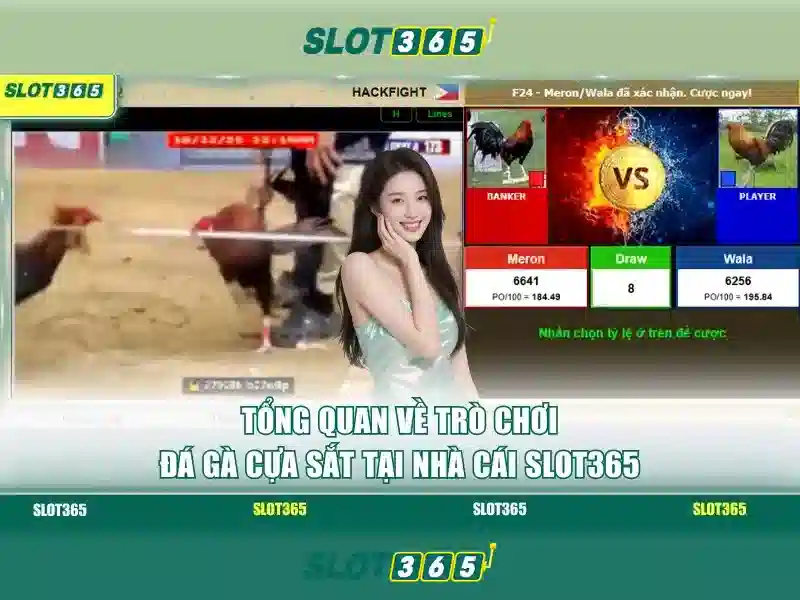 Các tính năng nổi bật của Slot365