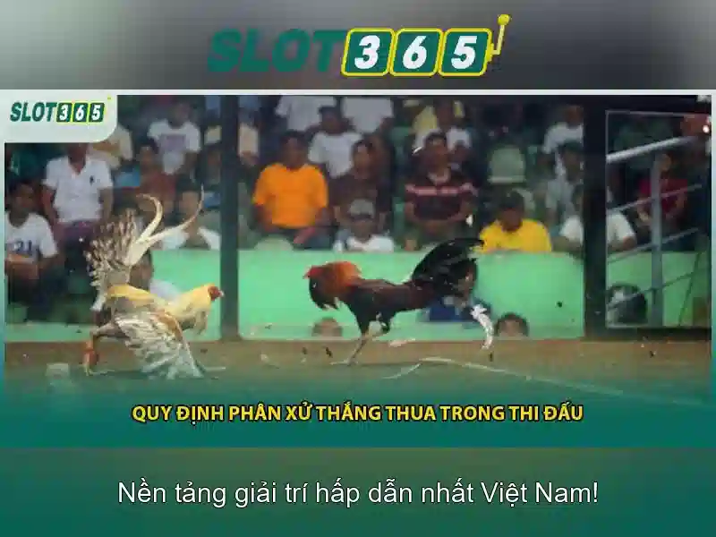 Danh mục trò chơi và các nhà cung cấp