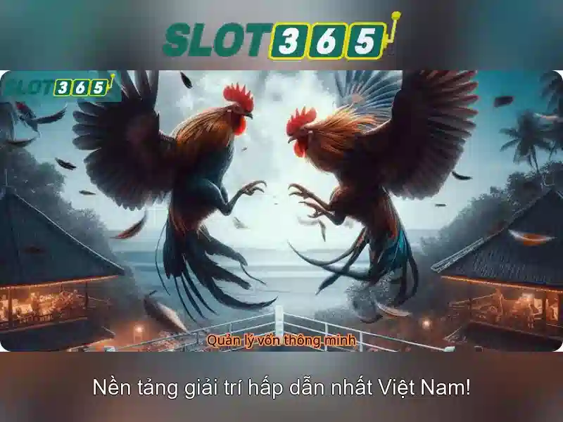 Slot365 - Đánh giá nền tảng slot trực tuyến hàng đầu Giao diện nhà cái hoàn hảo