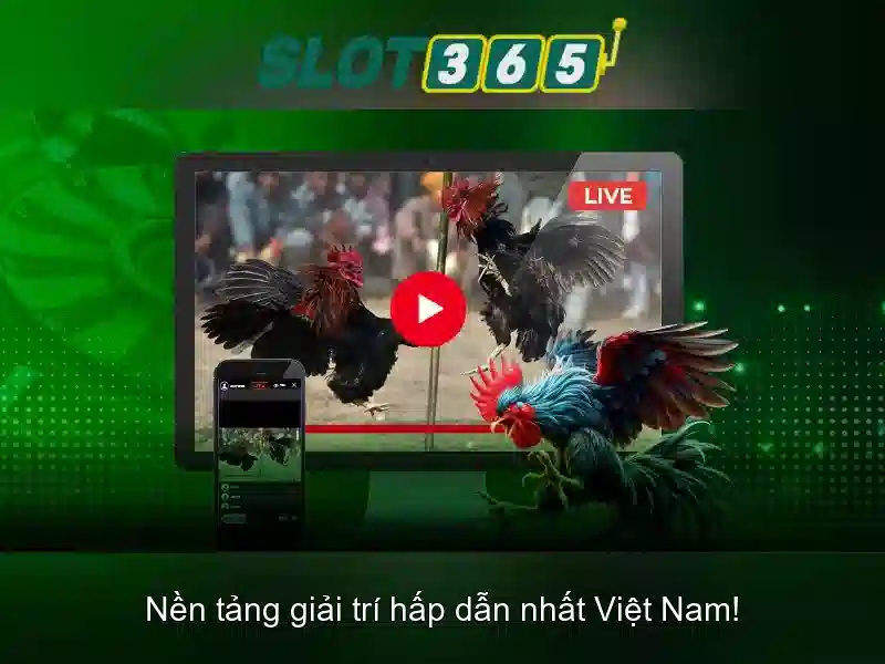 Trải nghiệm người dùng tại Slot365