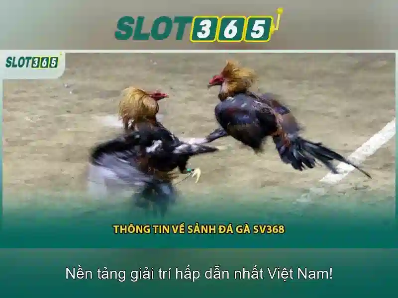 Trải nghiệm người dùng và giao diện