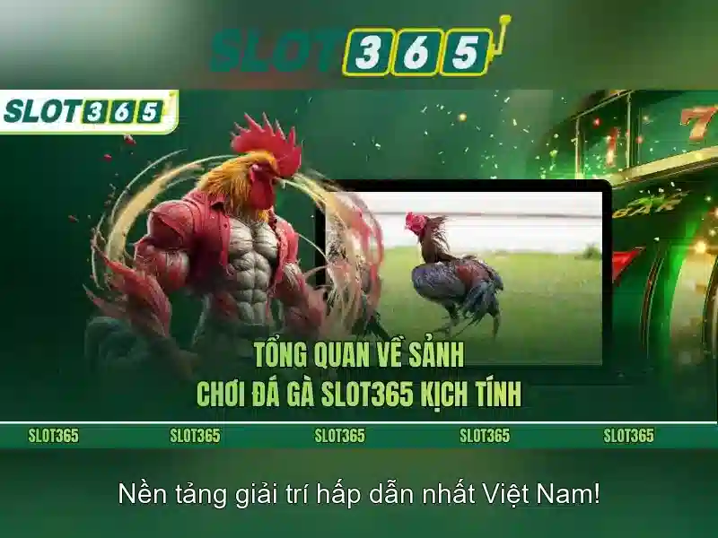 Tính năng và khuyến mãi