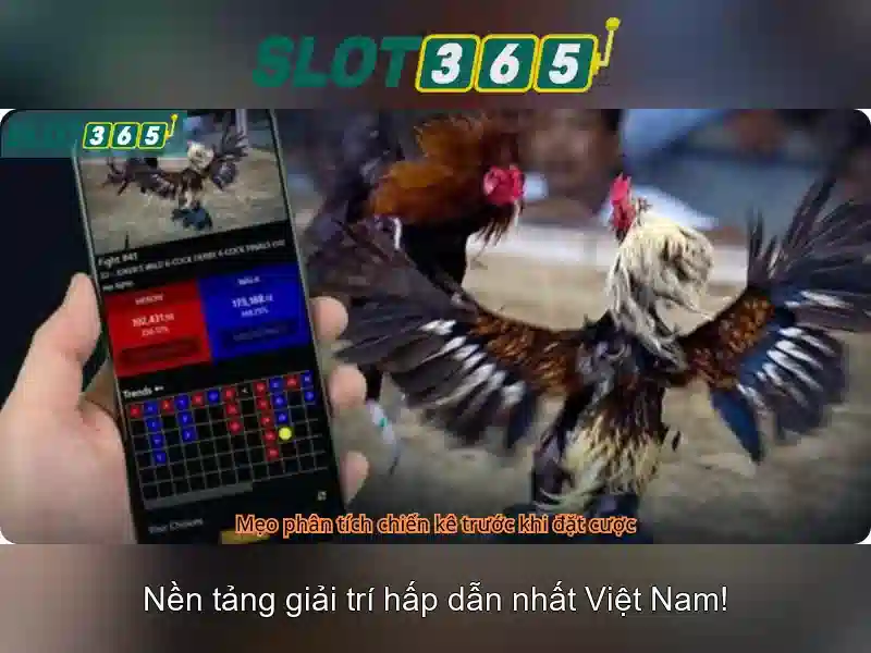 Slot365 – Nền tảng slot trực tuyến hàng đầu Việt Nam
