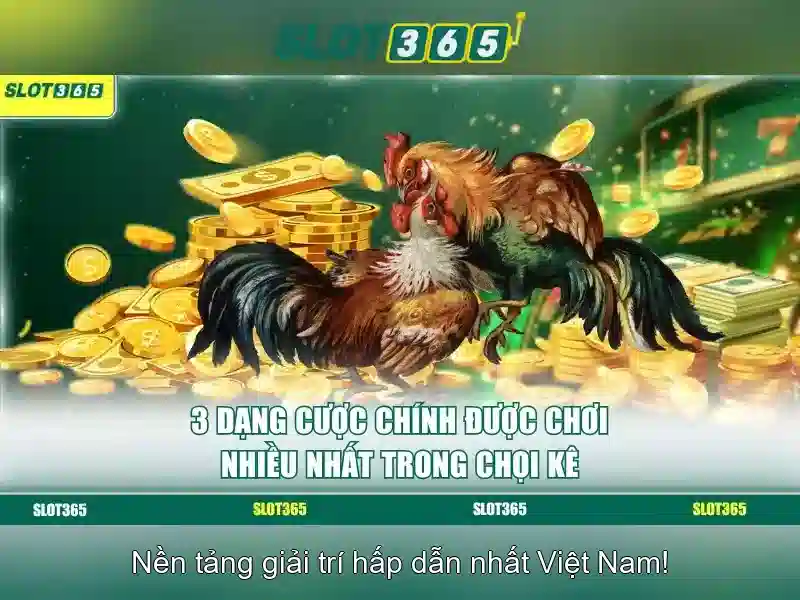 Kết luận về Slot365 cho người chơi mới