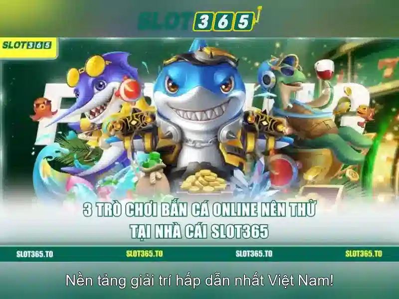 Giao diện và trải nghiệm người dùng