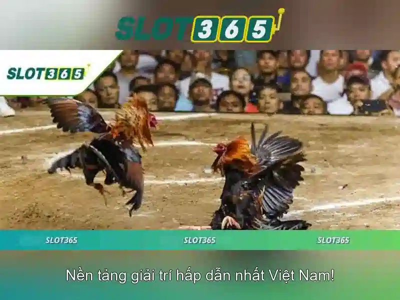 Danh mục trò chơi và tính năng