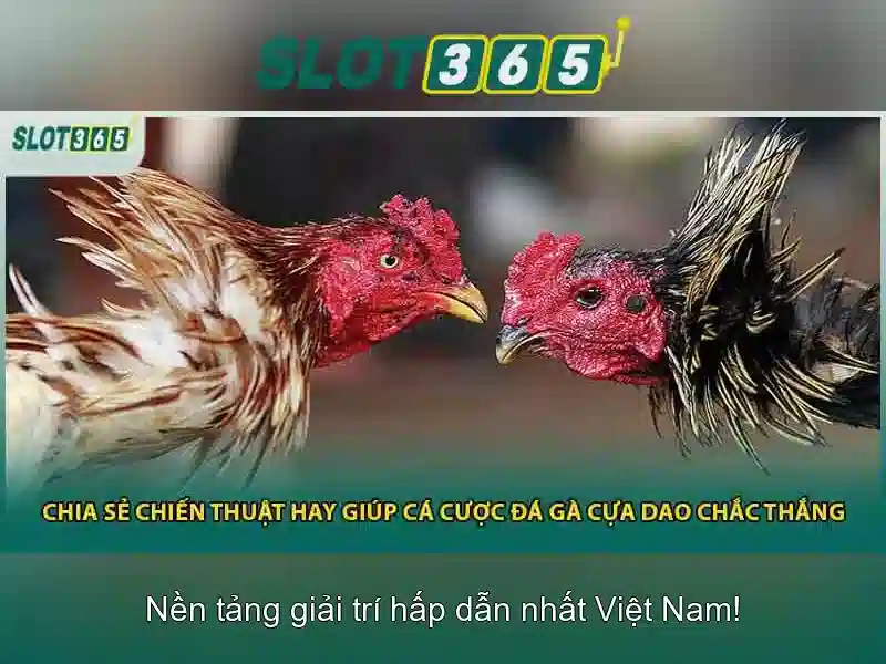 Trải nghiệm người dùng và bảo mật