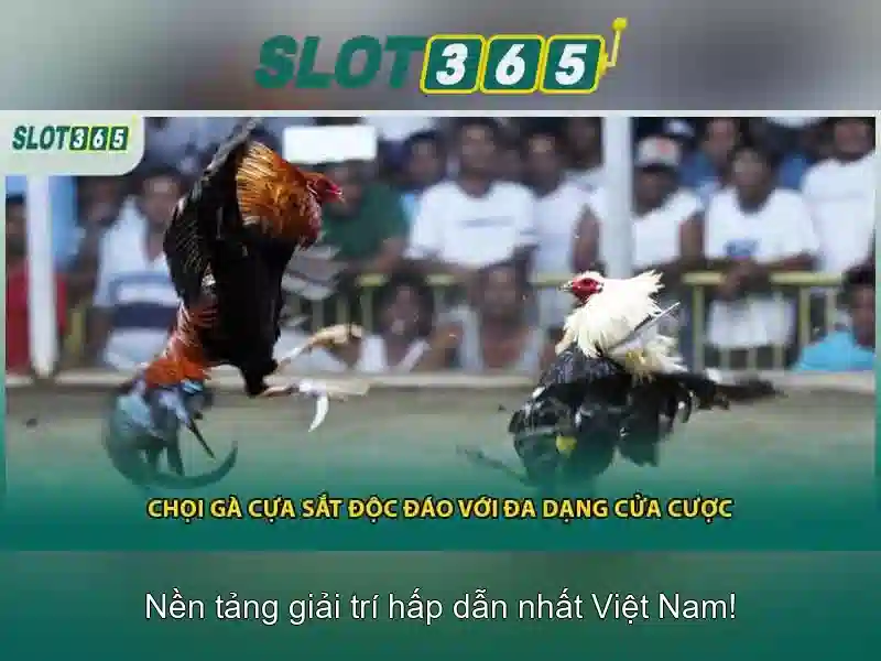 Slot365 – Nền tảng casino trực tuyến phổ biến Giao diện nhà cái hoàn hảo