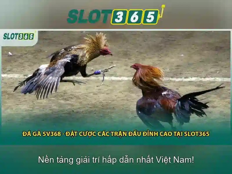 mô tả bằng tiếng Việt
