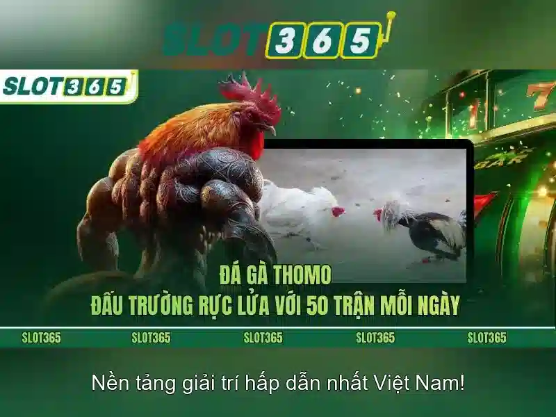 Slot365: Tổng quan về nền tảng casino trực tuyến và trải nghiệm người chơi Giao diện nhà cái hoàn hảo