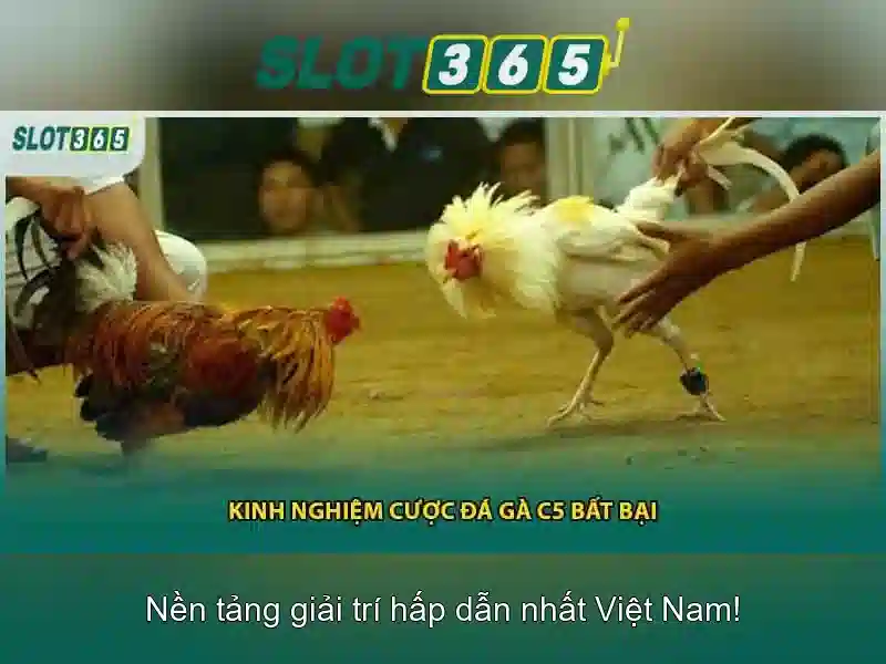Giao diện nhà cái hoàn hảo