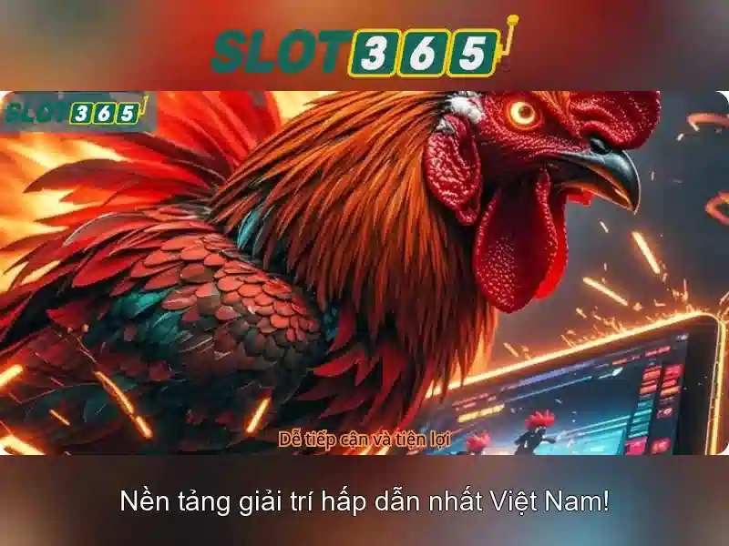 Slot365 là gì và tại sao được tin dùng
