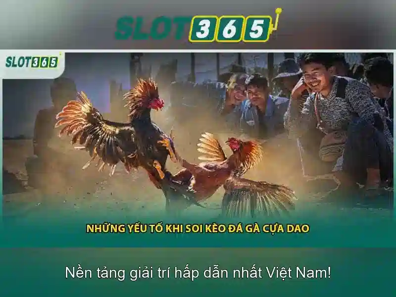 An toàn và chính sách người chơi