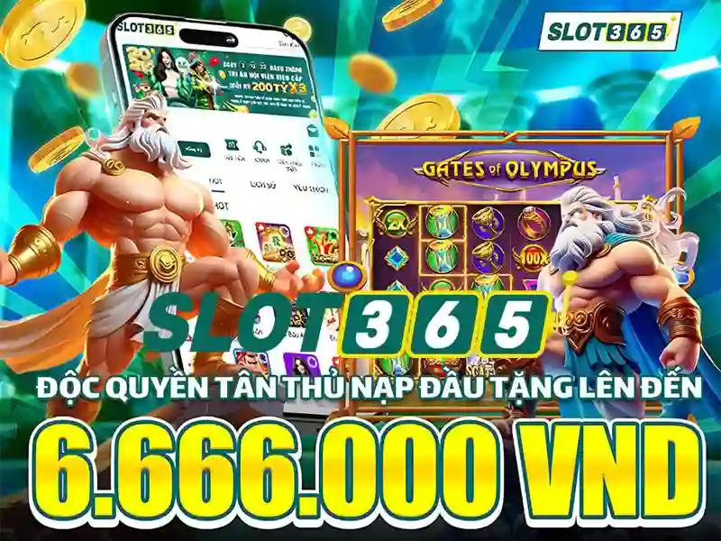 slot365_product_suite
